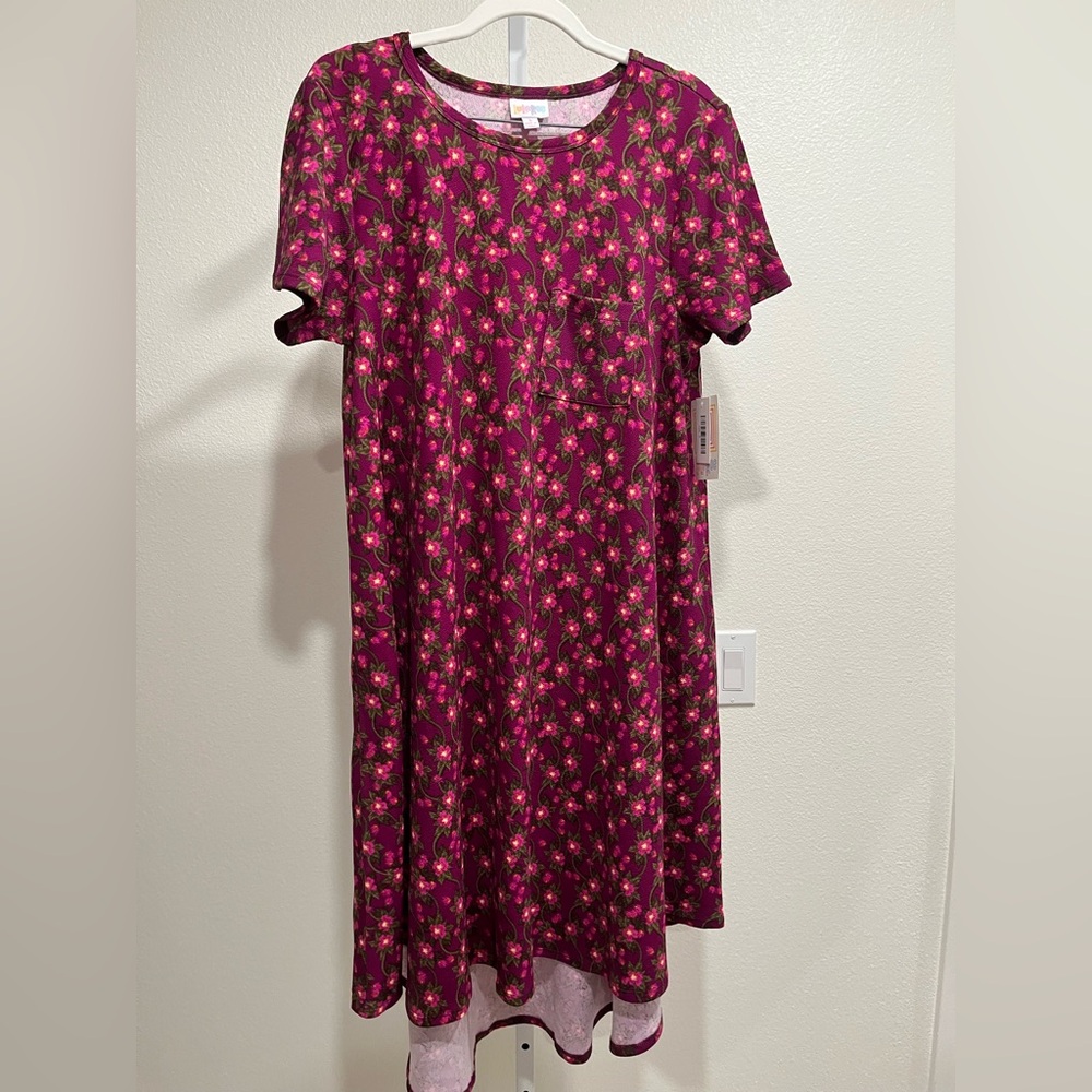 LuLaRoe Pink and Green Floral Top